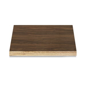 Custom Cabinet Furniture Plywood Pressed Wood Sheet 18mm for Sale