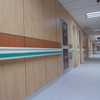 A Grade Flame Retardant Wall Cladding Panel Sysytem for Hospital
