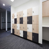 Polybett Easy Clean Phenolic Compact Hpl Laminate for Locker System 
