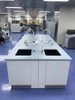Chemistry Physical Biologic Lab Work Bench Laboratory Furniture