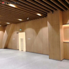 A Grade Flame Retardant Wall Cladding Panel Sysytem for Hospital