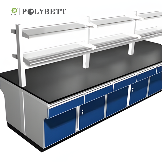 Chemistry Physical Biologic Lab Work Bench Laboratory Furniture
