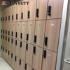 Polybett Easy Clean Phenolic Compact Hpl Laminate for Locker System 